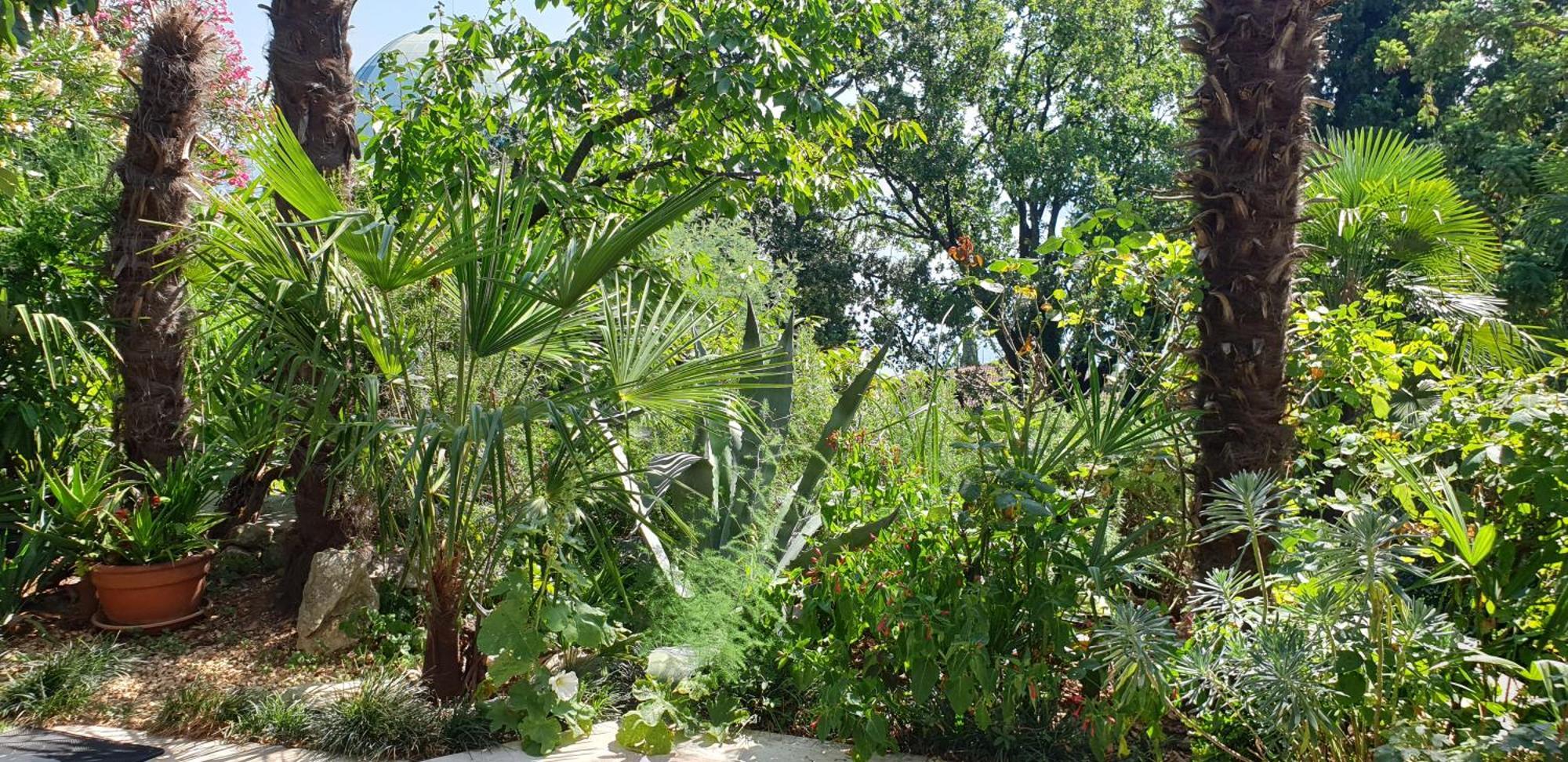 Apartment Doris Opatija Luaran gambar